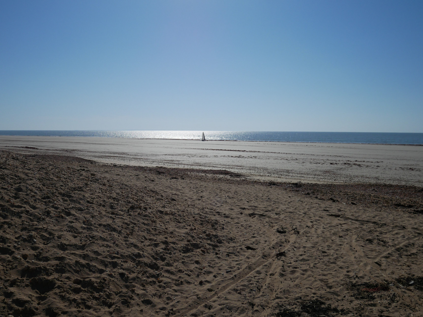 Offres programmes neufs A VENDRE NOTRE DAME DE MONTS APPARTEMENTS DU