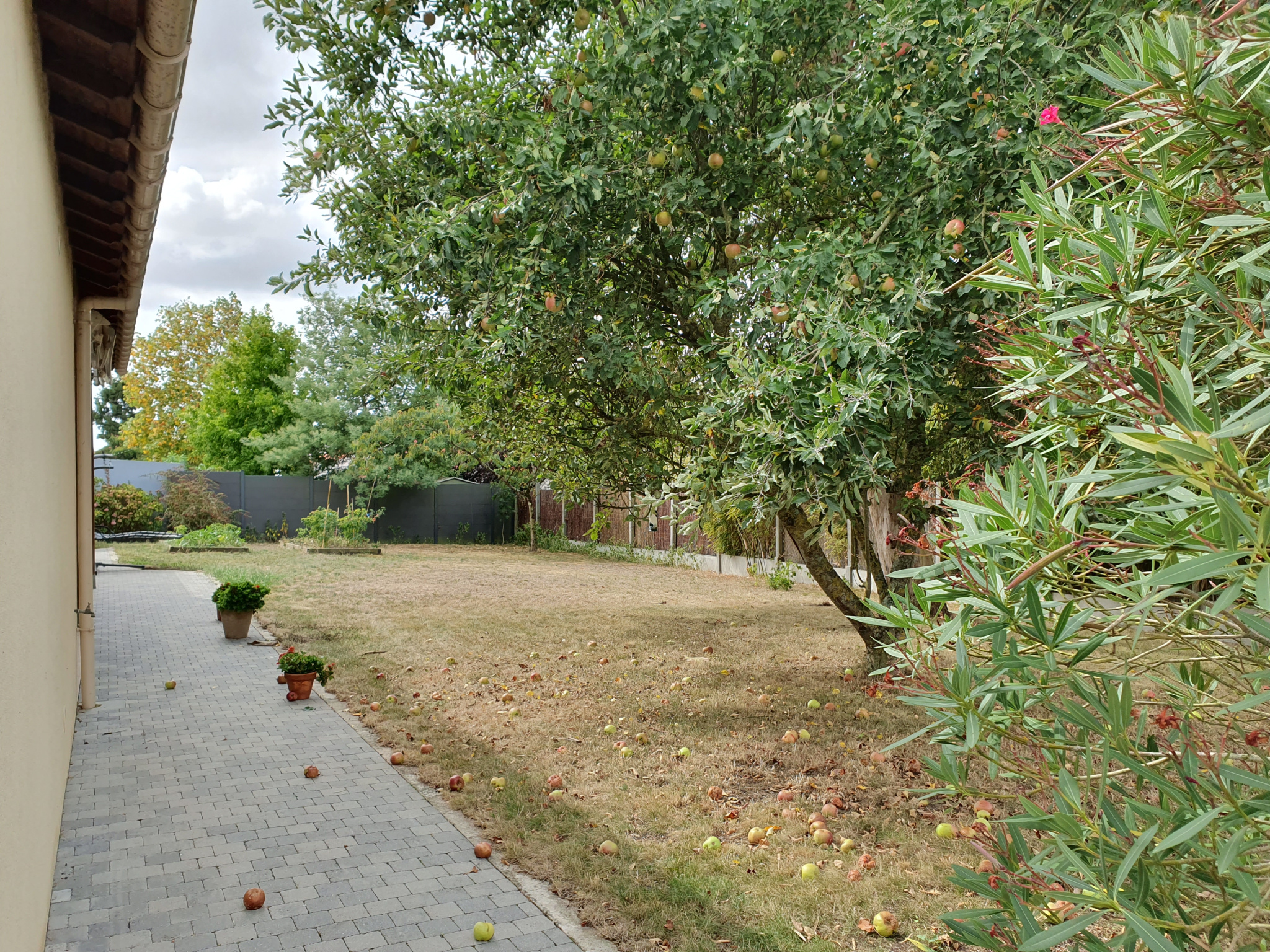 Agence immobilière de TWITIM